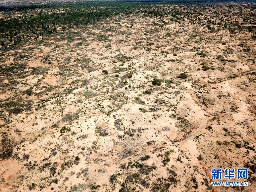 （圖文互動）（2）陜西榆林毀林建光伏電站追蹤：還有哪些疑團有待破解？ 