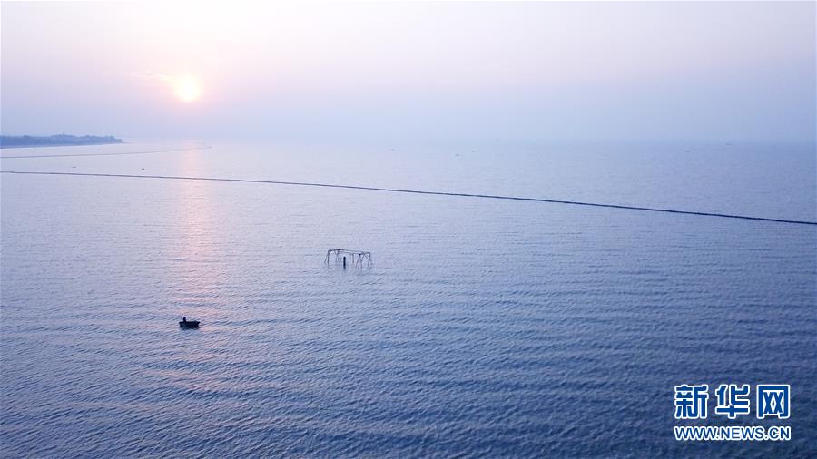 (新華全媒頭條·圖文互動)(2)大湖見證——長三角三大淡水湖綠色發展之路