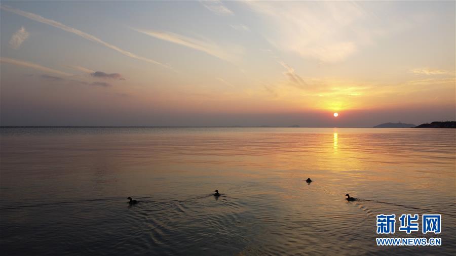 (新華全媒頭條·圖文互動)(4)大湖見證——長三角三大淡水湖綠色發展之路