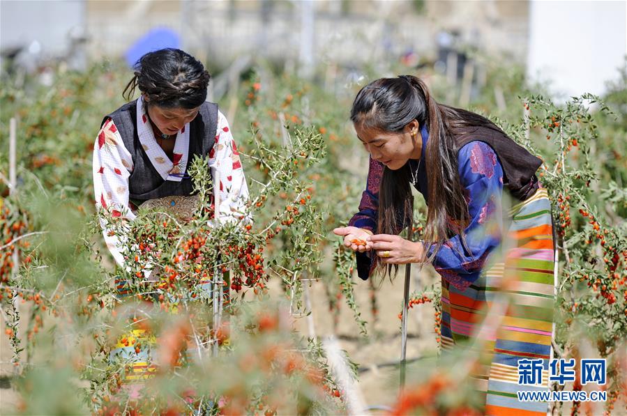 (新華全媒頭條·兩會特別報道·圖文互動)(7)在推進高質量發展中創造廣闊空間——從全國兩會看奮進中國的發展機遇