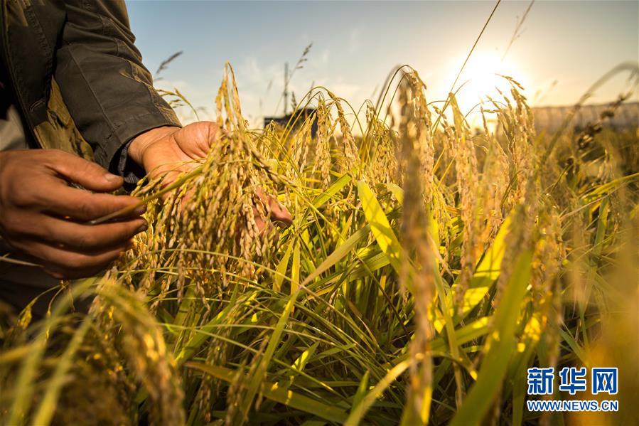 (新華全媒頭條·圖文互動(dòng))(5)上下同心再出發(fā)——習(xí)近平總書記同出席2019年全國兩會(huì)人大代表、政協(xié)委員共商國是紀(jì)實(shí)