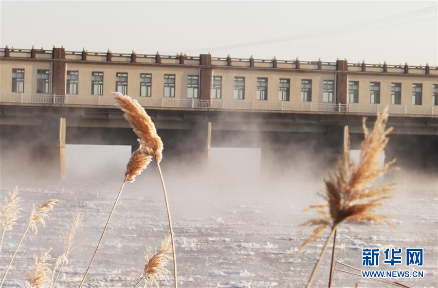 (環境)(4)黃河三盛公水利樞紐庫區出現“水煮黃河”景觀