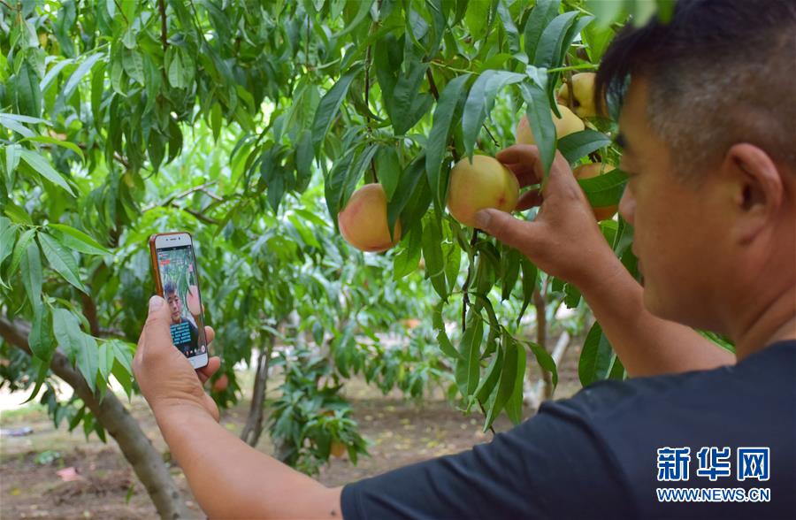 (在習近平新時代中國特色社會主義思想指引下——新時代新作為新篇章·總書記關切脫貧事·決勝貧困·圖文互動)(6)讓一方水土“富養”一方人——扶貧特色產業惠及千家萬戶