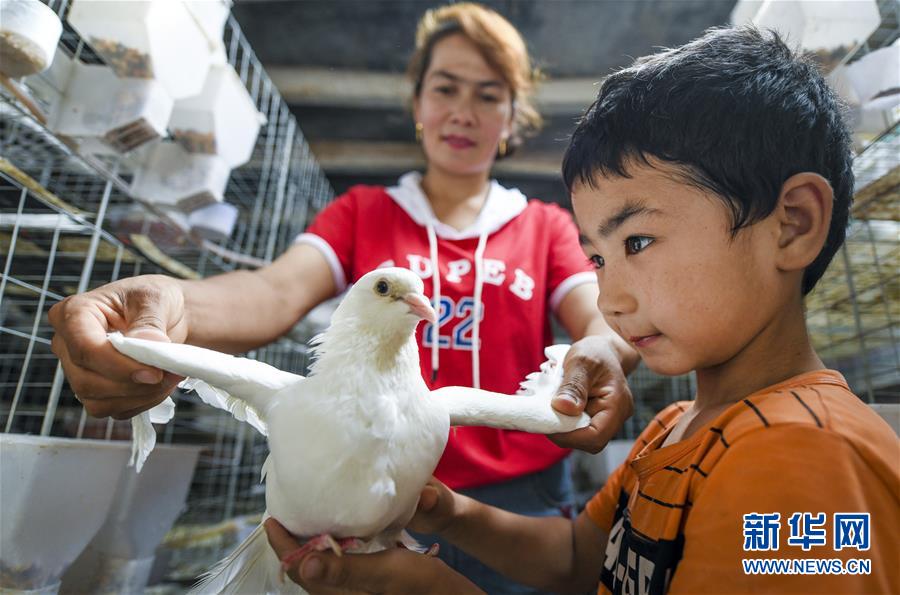 （新華全媒頭條&middot;聚焦中國經濟成績單&middot;圖文互動）（10）為全面建成小康社會奠定堅實基礎&mdash;&mdash;從2019年數據看中國經濟發展大勢