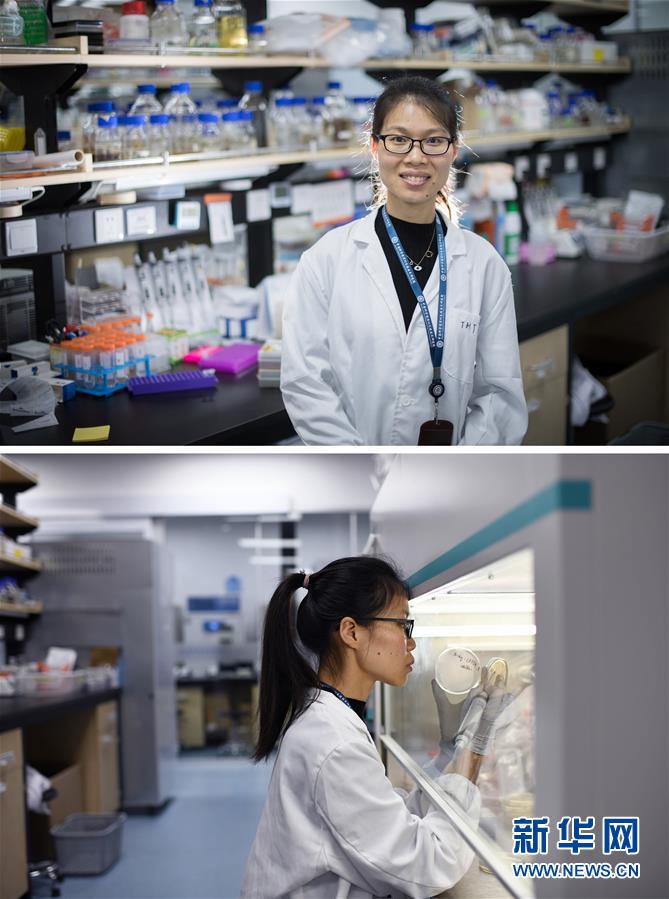 (新華全媒頭條·圖文互動)(1)創造中華民族的偉大歷史時間——寫在農歷庚子鼠年春節到來之際