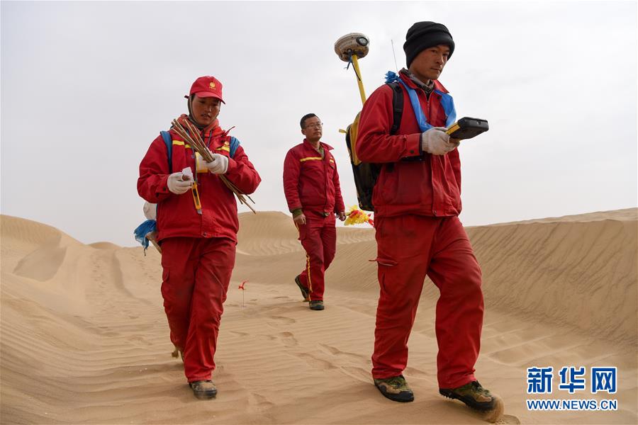 （新春走基層&middot;圖文互動）（14）寒冬里，&ldquo;沙漠玫瑰&rdquo;猶自綻放
