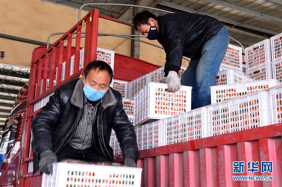 (聚焦疫情防控·圖文互動)(5)吃的東西充足,做點花樣菜吧!——中部地區最大農產品批發市場見聞