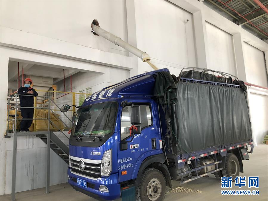 (圖文互動)(5)抓好防疫保暢,還管司機吃飯——廣西欽州保稅港區服務企業復工見聞