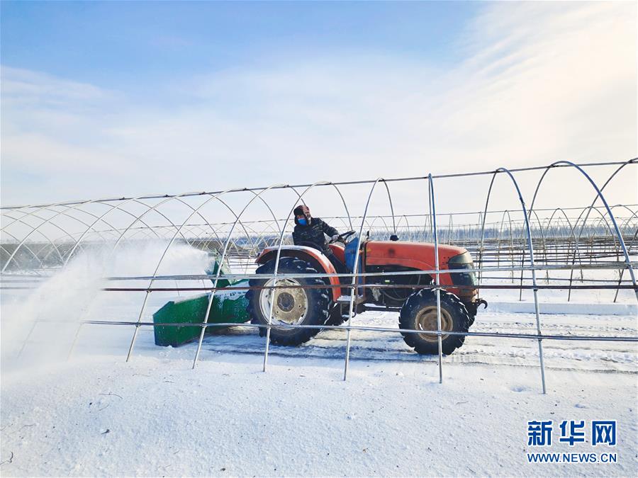 （春耕備耕&middot;圖文互動）（2）&ldquo;疫&rdquo;線賽農時 播種新希望&mdash;&mdash;產糧大省黑龍江別樣&ldquo;備耕圖&rdquo;