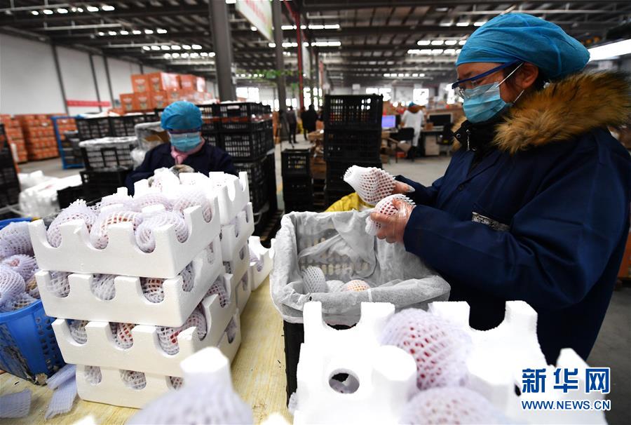 (聚焦疫情防控·圖文互動)(1)“一輛輛車出發,春暖花開的日子就不遠了”——西北電商大縣陜西省武功縣復工見聞