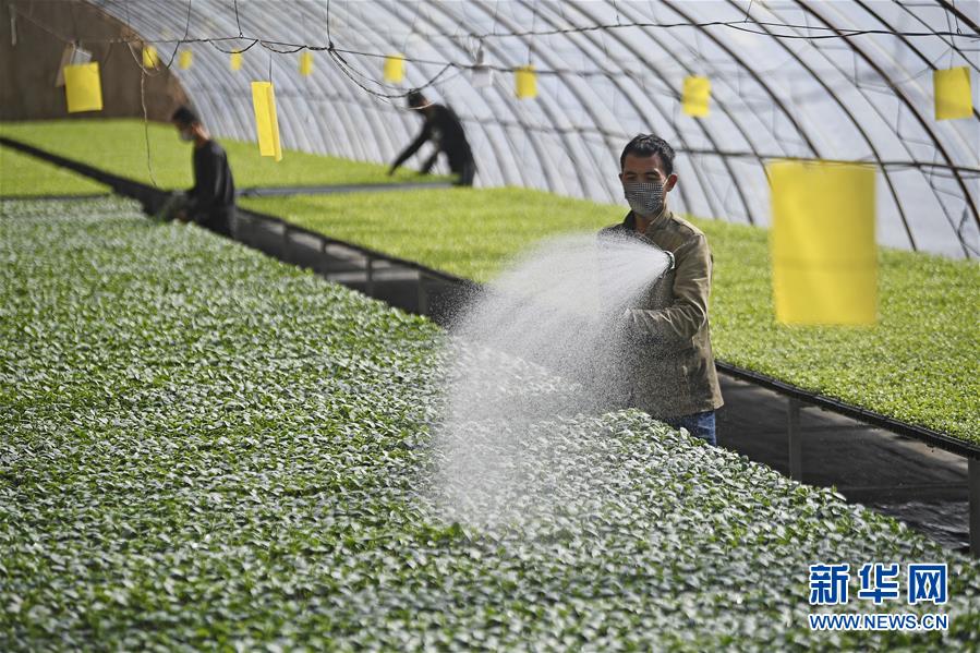 (新華全媒頭條·圖文互動)(12)磨難壓不垮 奮起正當時——習近平總書記在統籌推進新冠肺炎疫情防控和經濟社會發展工作部署會議上的重要講話振奮人心凝聚力量