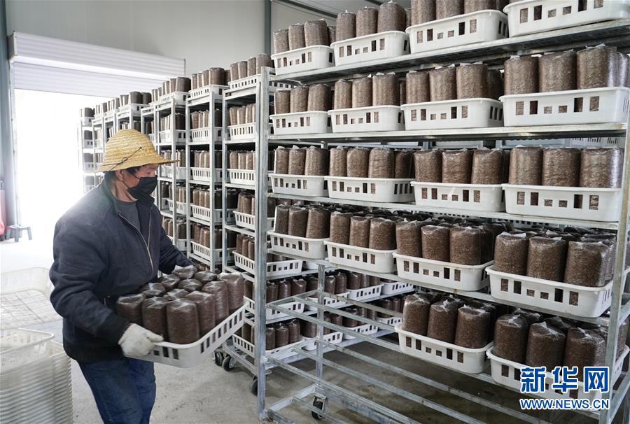 （決戰決勝脫貧攻堅&middot;圖文互動）（1）秦巴山區：戰疫戰貧，兩場仗都要打贏