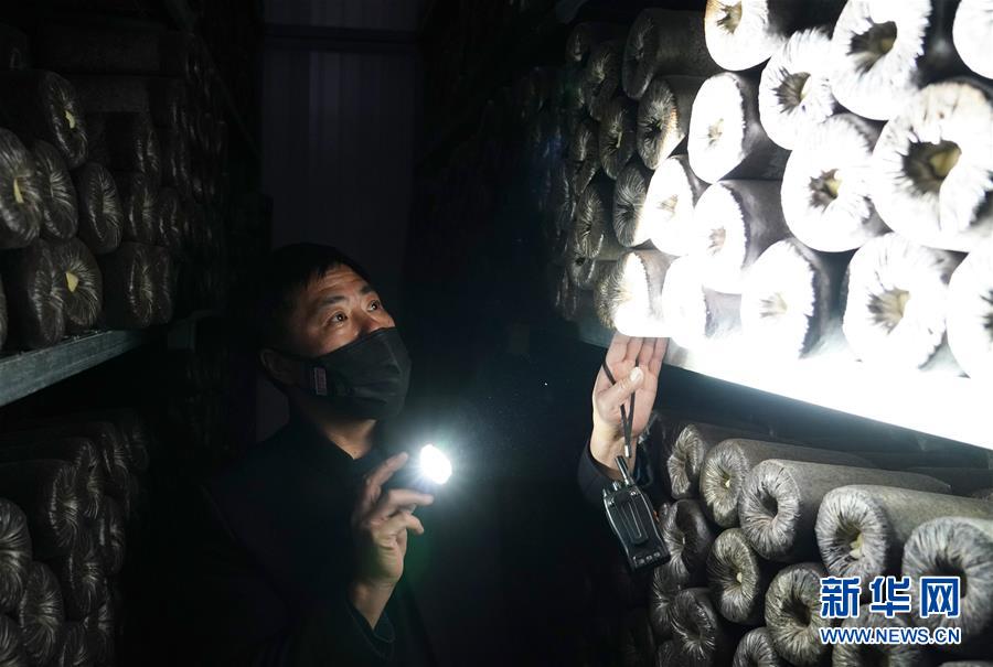 （決戰決勝脫貧攻堅&middot;圖文互動）（4）秦巴山區：戰疫戰貧，兩場仗都要打贏