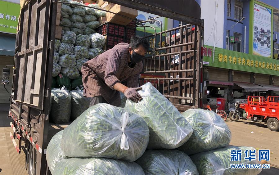 （圖文互動）（4）青青園中葵 朝露待日晞&mdash;&mdash;云南組織蔬菜等農產品支援湖北記略