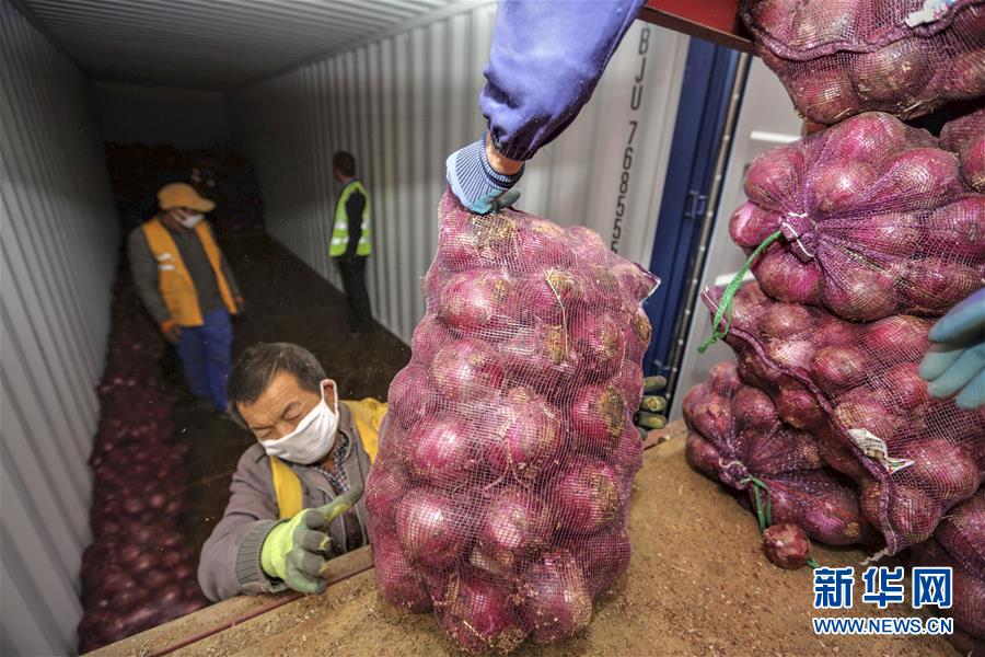 （圖文互動）（6）青青園中葵 朝露待日晞&mdash;&mdash;云南組織蔬菜等農產品支援湖北記略