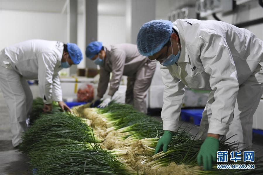 （圖文互動）（6）&ldquo;早一天復工，損失就少一點&rdquo;&mdash;&mdash;廣西以精準防控推動復工復產一線見聞