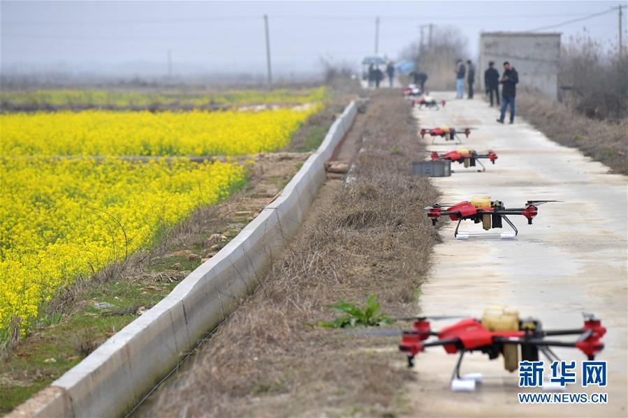 (抓好春耕備耕 穩(wěn)住農(nóng)業(yè)生產(chǎn)·圖文互動(dòng))(4)智能農(nóng)機(jī)、“訂單”服務(wù)、“云端”種菜——來(lái)自江西的春耕“新事”