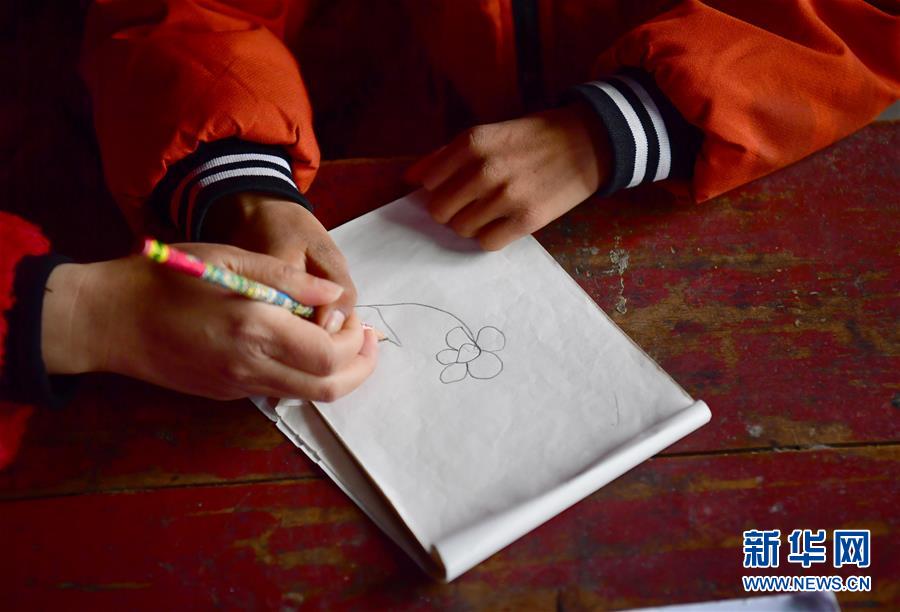 （決戰決勝脫貧攻堅&middot;圖文互動）（5）特寫：疫情下的一堂特殊送教上門課