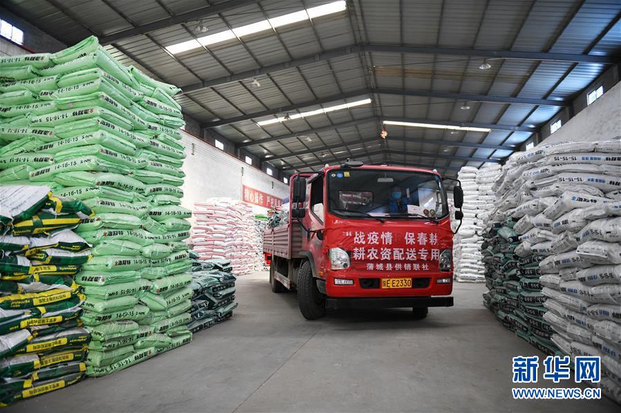 (新華全媒頭條·圖文互動)(12)春色最濃在田間——來自全國春耕備耕的現場觀察