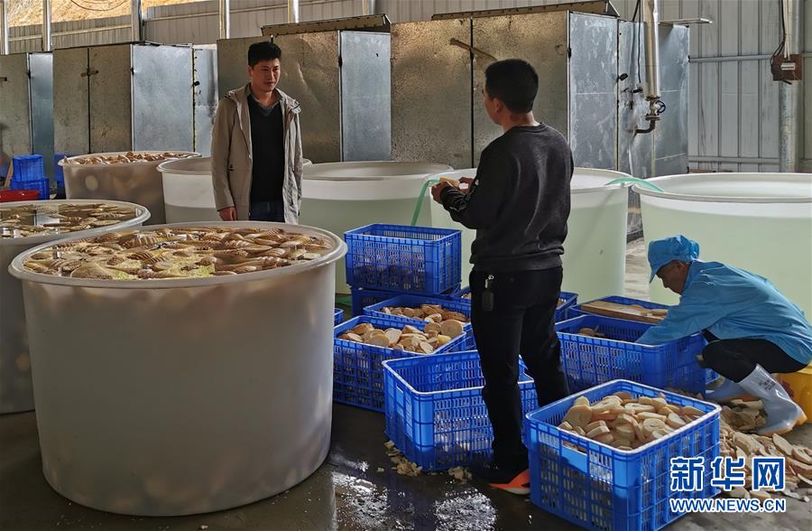 (決戰(zhàn)決勝脫貧攻堅·圖文互動)掛牌督戰(zhàn),一個都不能少——江西確保剩余9.6萬貧困人口全部脫貧