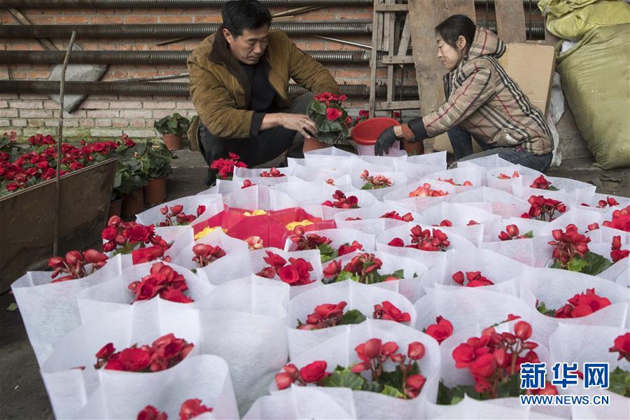 （在習(xí)近平新時(shí)代中國(guó)特色社會(huì)主義思想指引下&mdash;&mdash;新時(shí)代新作為新篇章&middot;習(xí)近平總書記關(guān)切事&middot;圖文互動(dòng)）（1）希望的田野，希望的春天&mdash;&mdash;各地農(nóng)業(yè)生產(chǎn)新動(dòng)態(tài)掃描