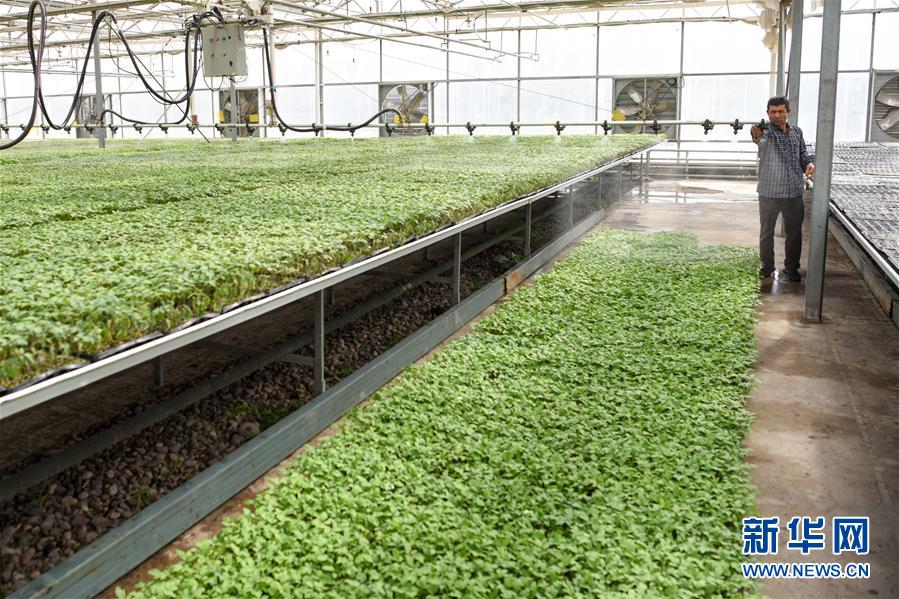 （決戰(zhàn)決勝脫貧攻堅(jiān)&middot;圖文互動）（3）決戰(zhàn)昆侖&mdash;&mdash;新疆聚焦10個(gè)未摘帽縣展開深度貧困攻堅(jiān)戰(zhàn) 