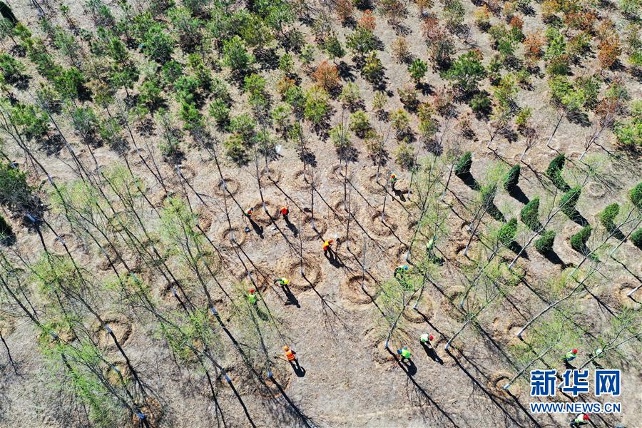 （新華全媒頭條&middot;圖文互動）（5）雄安畫卷徐徐鋪展　&ldquo;未來之城&rdquo;蓄勢待發&mdash;&mdash;雄安新區設立三周年巡禮