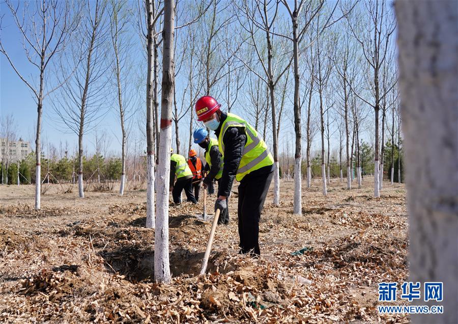 （新華全媒頭條&middot;圖文互動）（8）雄安畫卷徐徐鋪展　&ldquo;未來之城&rdquo;蓄勢待發&mdash;&mdash;雄安新區設立三周年巡禮