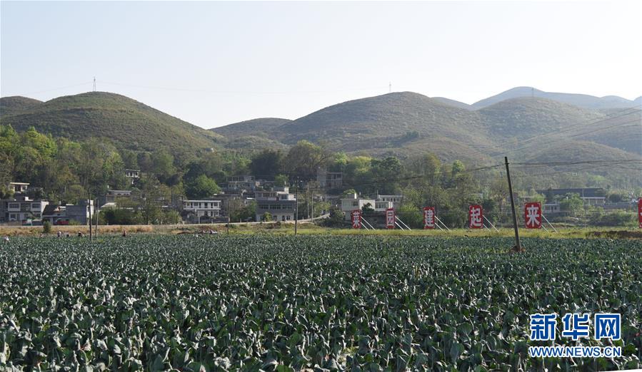 (決戰決勝脫貧攻堅·圖文互動)(2)逐項逐戶排查補齊脫貧攻堅“短板”——貴州晴隆縣扶貧一線工作見聞