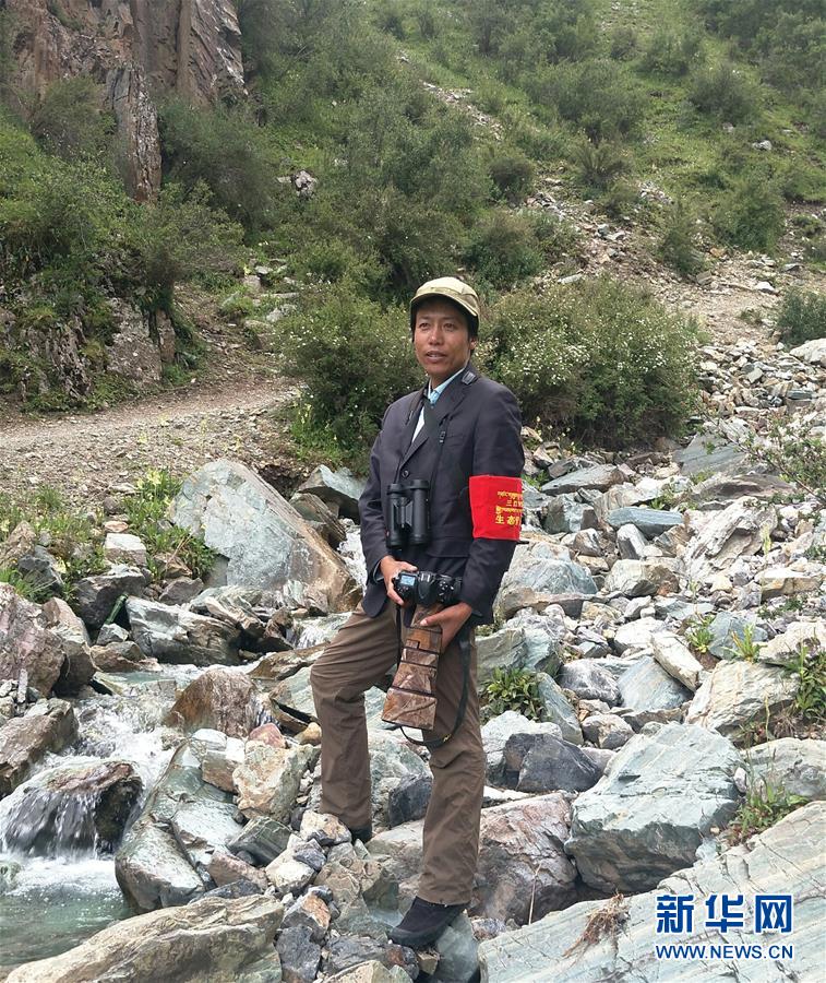 (玉樹地震10周年·圖文互動)(4)牧民才仁尼瑪的“科研”人生