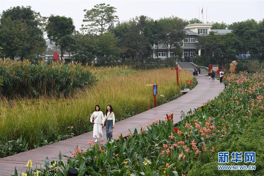 (新華全媒頭條·圖文互動(dòng))(4)為有源頭清水來(lái)——深圳“馴水記”