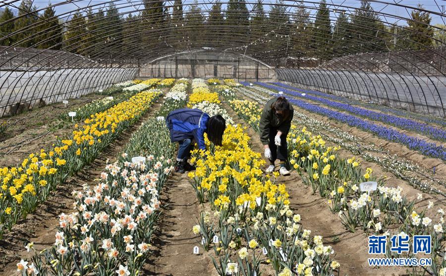 （新華全媒頭條&middot;圖文互動）（2）永遠的夢想 永恒的追求&mdash;&mdash;寫在北京世園會開幕一周年之際