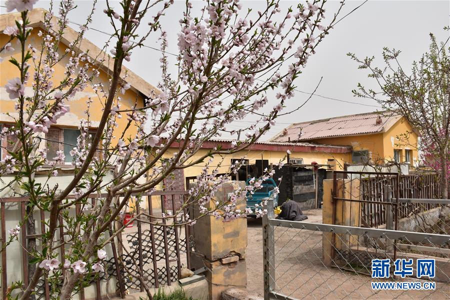 (圖文互動)(1)“桃花源”里話豐年 ——帕米爾山區(qū)一處扶貧搬遷點見聞