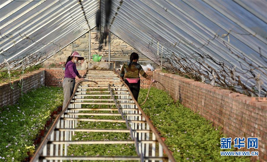 (圖文互動(dòng))(2)這座小城,鐫刻下怎樣的“世園印記”——北京世園會(huì)開(kāi)園一周年探訪(fǎng)延慶