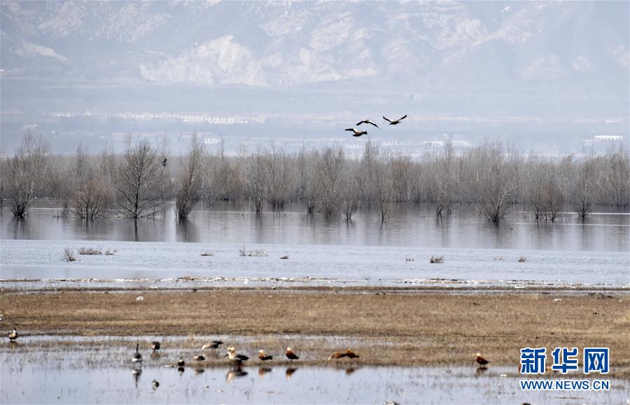 (圖文互動(dòng))(3)這座小城,鐫刻下怎樣的“世園印記”——北京世園會(huì)開(kāi)園一周年探訪(fǎng)延慶