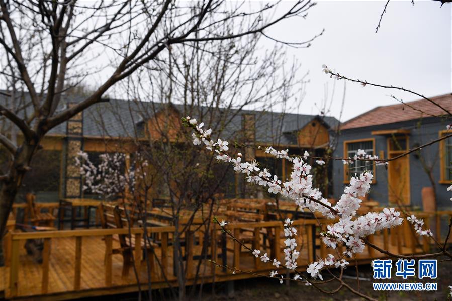 (圖文互動)(6)“疫”去客來會有時——新疆伊犁河谷旅游市場漸暖見聞