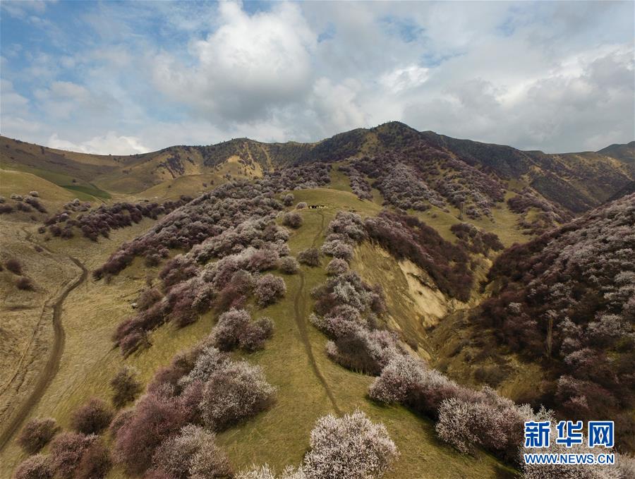 (圖文互動)(7)“疫”去客來會有時——新疆伊犁河谷旅游市場漸暖見聞