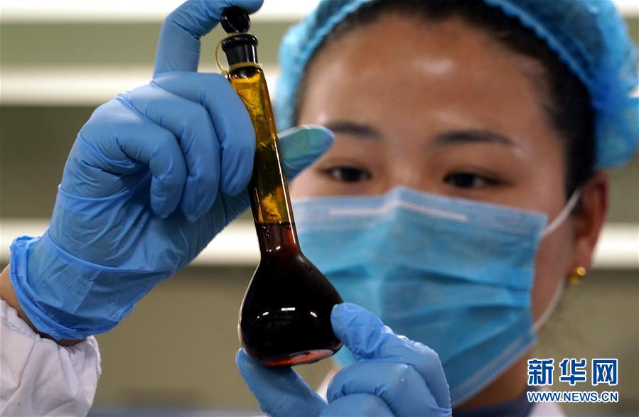 (來自一線的調查報告·圖文互動)(10)搶出一個身位謀發展——河南許昌經濟復蘇見聞