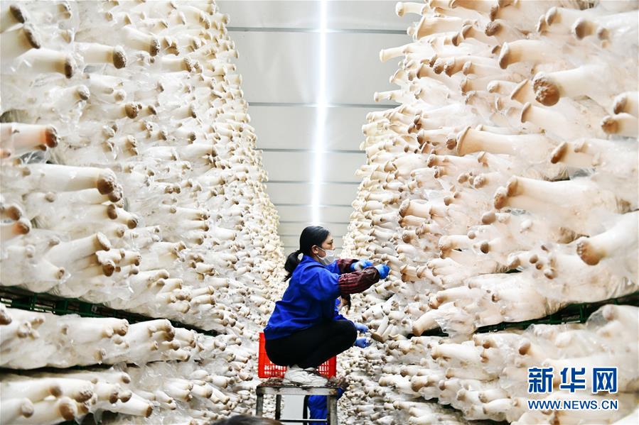 (決戰決勝脫貧攻堅·圖文互動)(1)補短板 促就業 穩增收——貴州向脫貧“硬骨頭”發起總攻