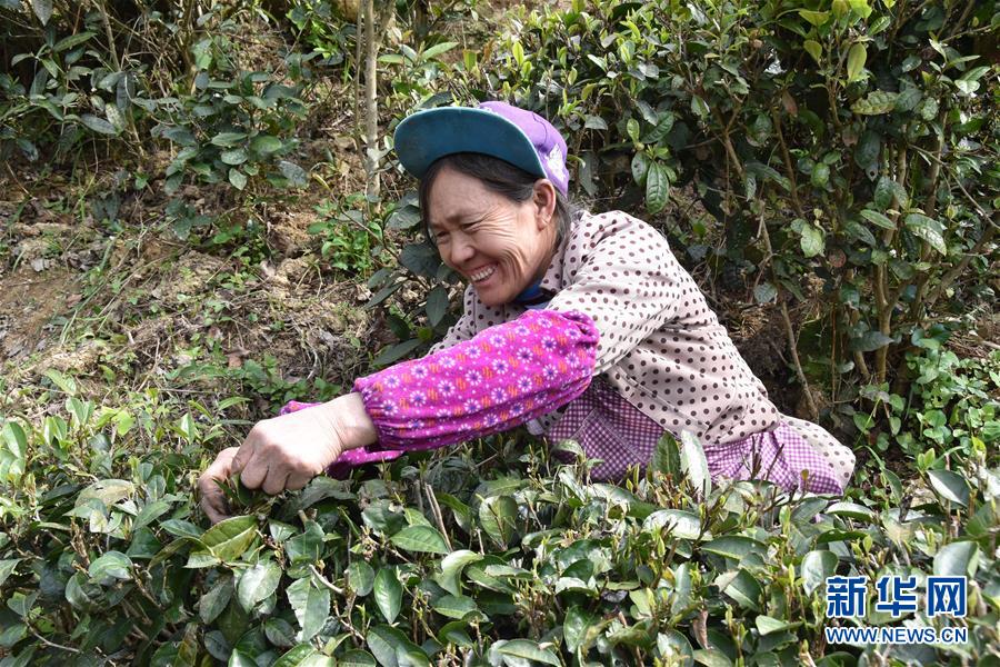 (圖片互動)(1)再訪貴州極貧鄉鎮看“四變”