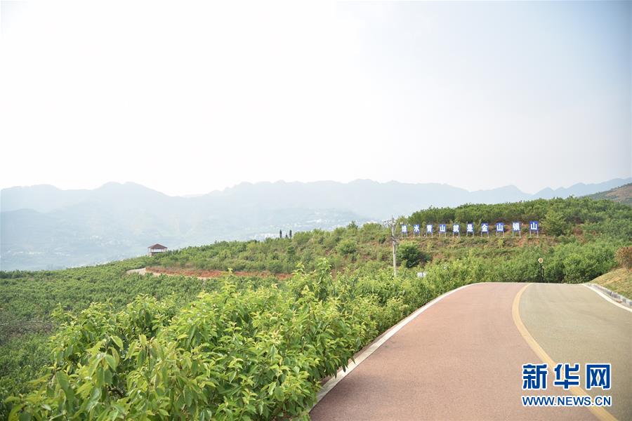 （決戰決勝脫貧攻堅&middot;圖文互動）（2）烏蒙山農民的笑臉&mdash;&mdash;貴州脫貧攻堅一線采訪隨筆