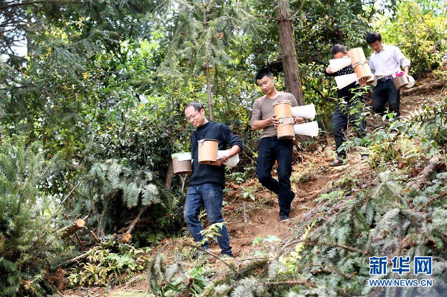 (決戰(zhàn)決勝脫貧攻堅·圖文互動)(1)“小蜂王”的大夢想