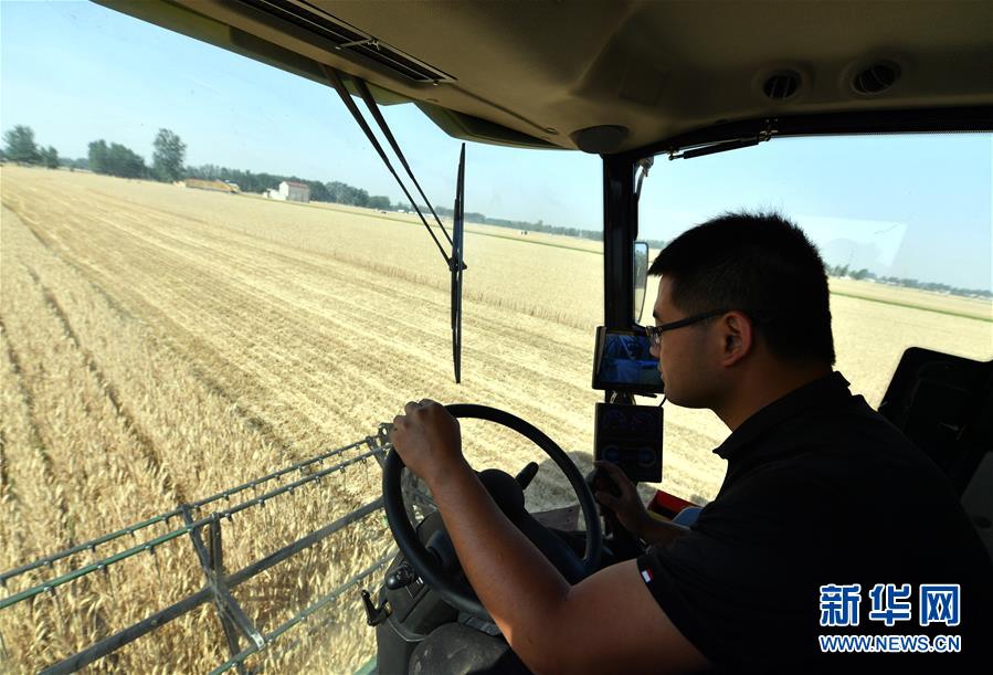 (關注三夏·圖文互動)(2)麥田“后浪”的農事新說