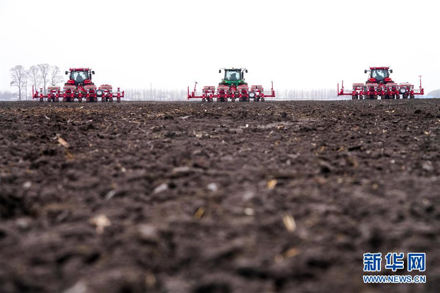 (在習近平新時代中國特色社會主義思想指引下——新時代新作為新篇章·習近平總書記關切事·圖文互動)(2)讓農民挑上“金扁擔”——農業現代化的生動實踐掃描