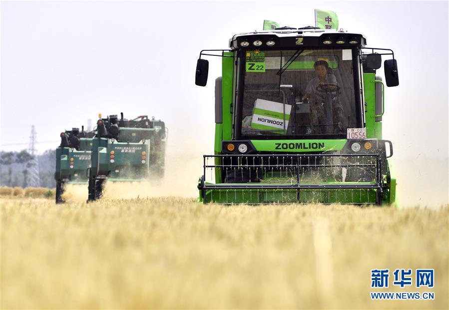 (在習近平新時代中國特色社會主義思想指引下——新時代新作為新篇章·習近平總書記關切事·圖文互動)(12)讓農民挑上“金扁擔”——農業現代化的生動實踐掃描