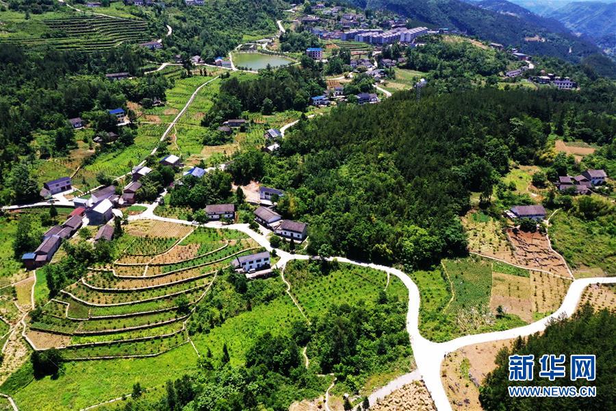 (新華全媒頭條·圖文互動)(11)待到滿山紅葉時——三峽重慶庫區踐行新發展理念面面觀