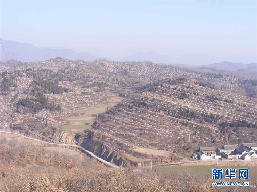 (決戰決勝脫貧攻堅·圖文互動)(2)“愚公”治山