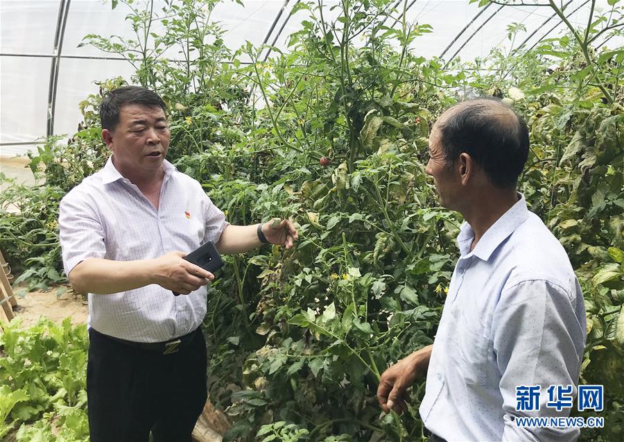 (決戰決勝脫貧攻堅·圖文互動)(2)魚漁兼授 志智雙扶——窮溝溝“菜富記”