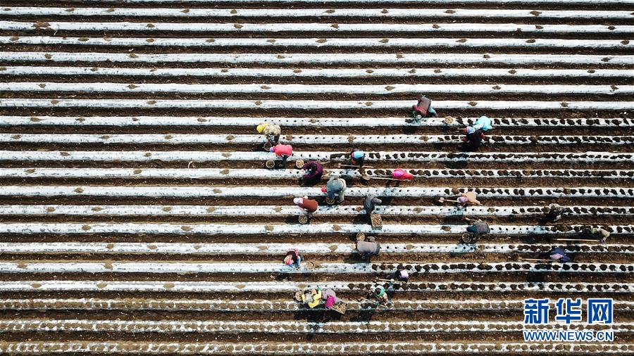 (在習近平新時代中國特色社會主義思想指引下——新時代新作為新篇章·習近平總書記關切事·圖文互動)(2)讓每一寸耕地都成為豐收的沃土——我國加強耕地保護推進“藏糧于地”