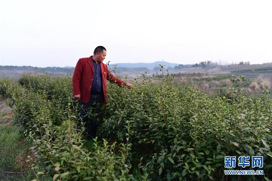 （決戰(zhàn)決勝脫貧攻堅&middot;圖文互動）（3）貧困戶老楊的人生&ldquo;三級跳&rdquo;